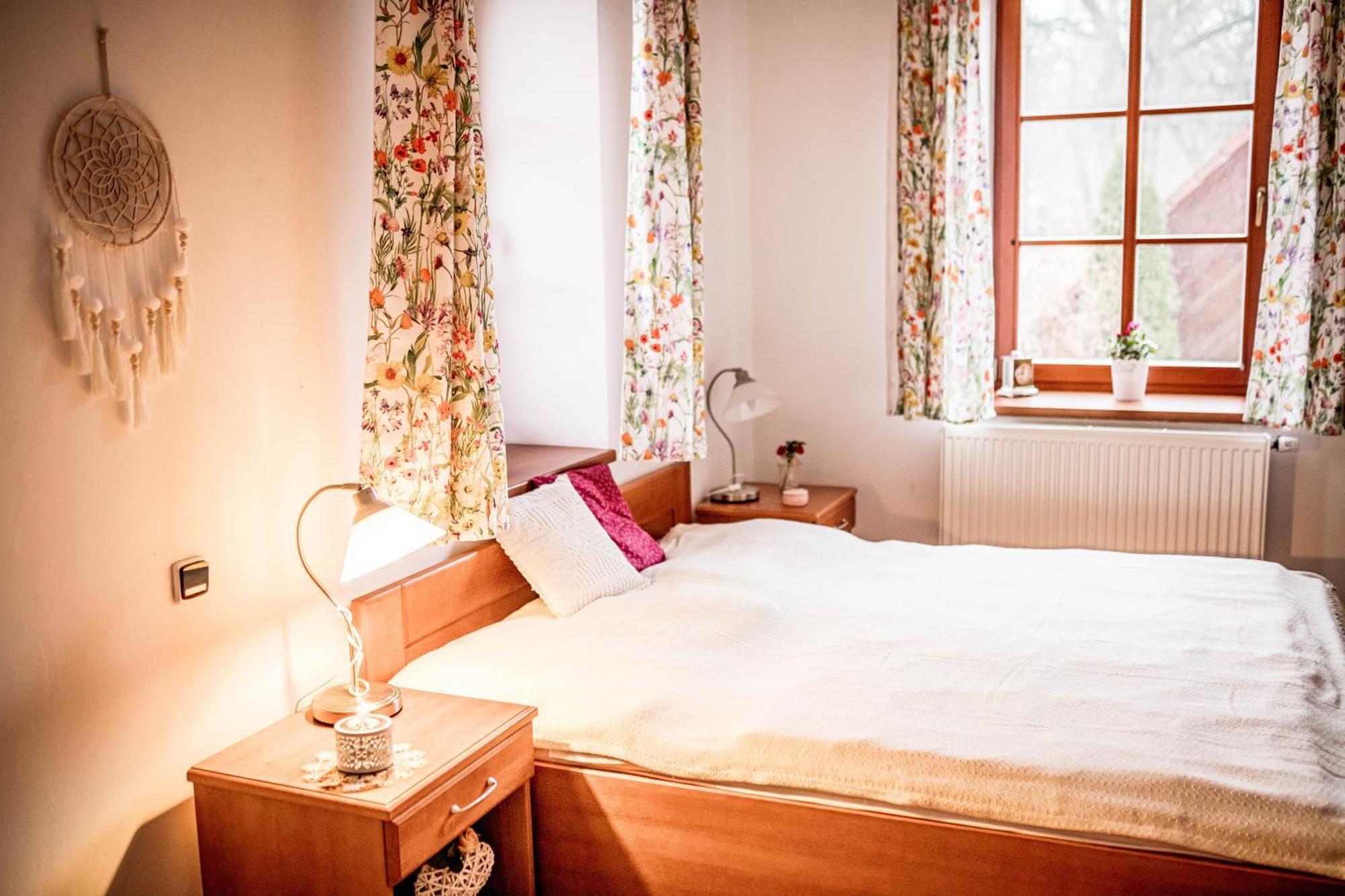 Hotel Mlyn Mitrovice à Příbram Extérieur photo