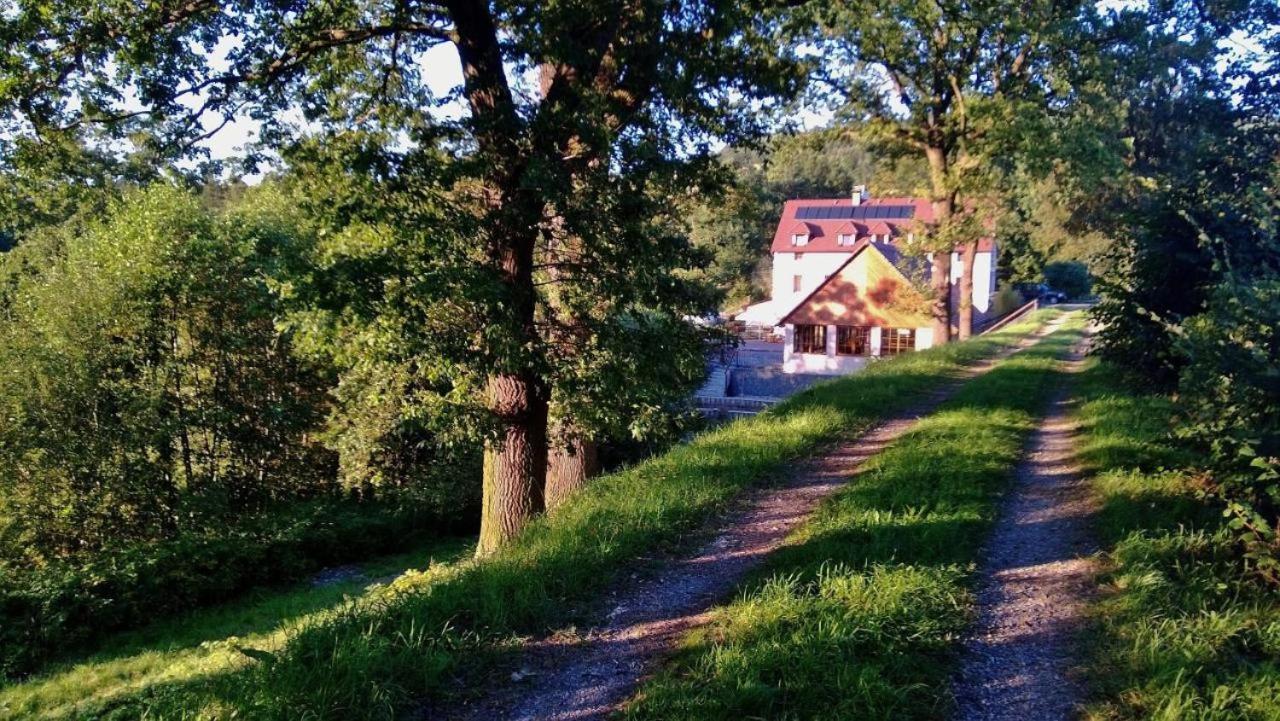Hotel Mlyn Mitrovice à Příbram Extérieur photo